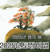 신수 토정비결